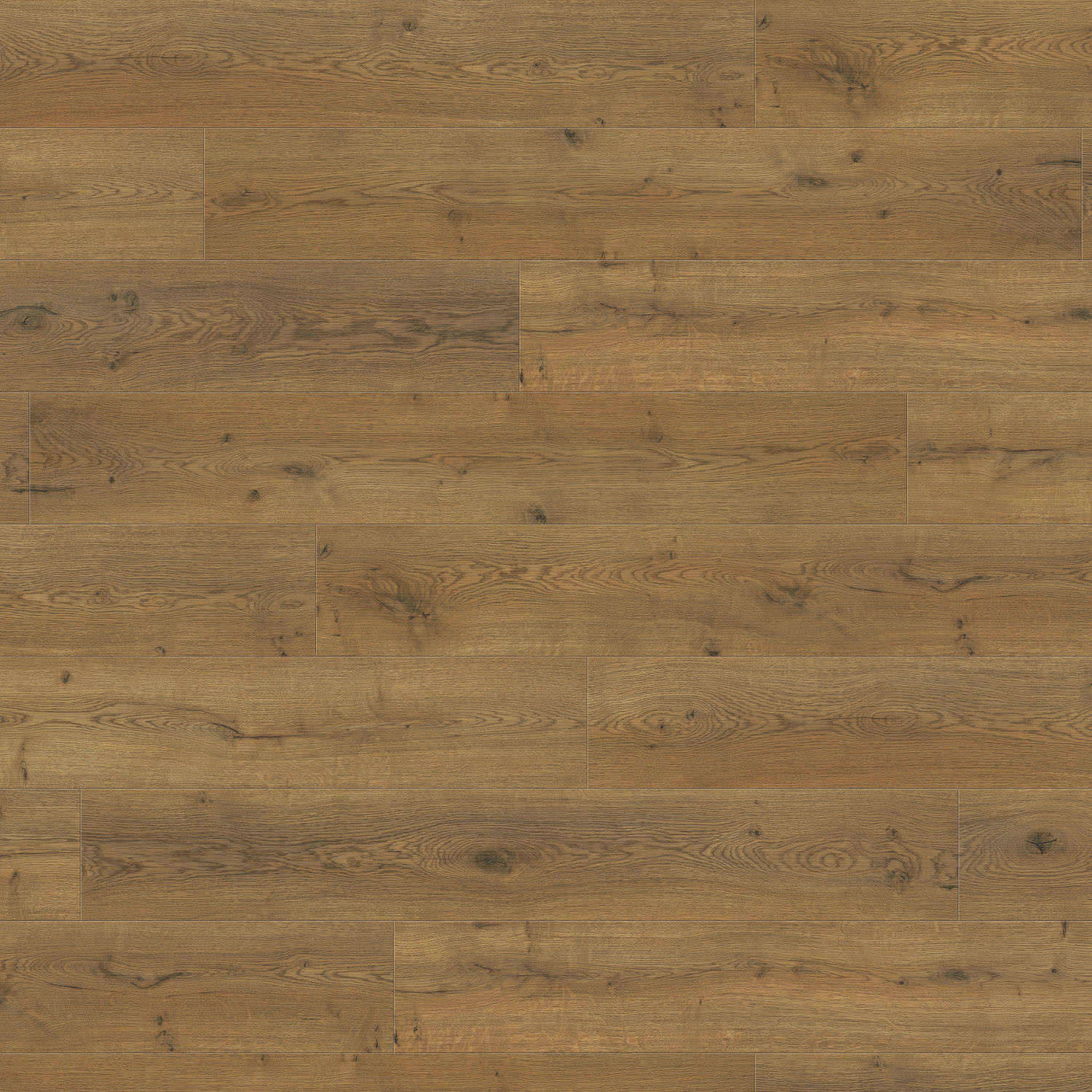 544674 - HARO Laminate Floor Special Edition NKL31 Plank 1-Strip Oak ...